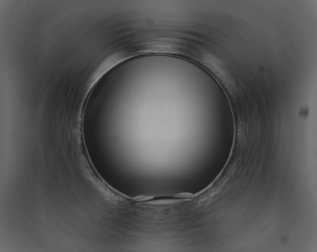 X0000089951378200707131507