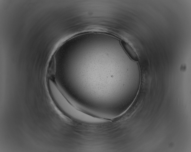X0000089951379200707131507
