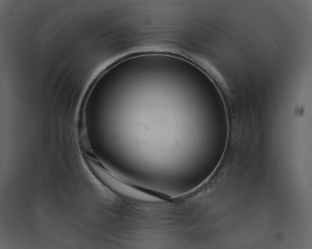 X0000089951380200707131507