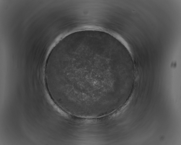 X0000089951381200707131507