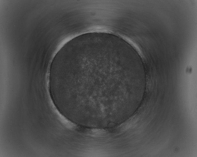 X0000089951383200707131506