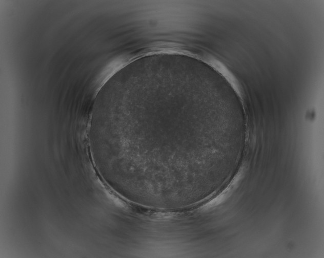 X0000089951385200707131506