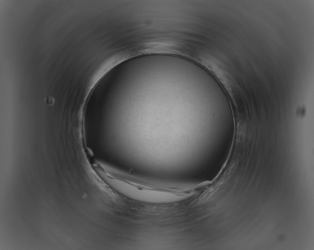 X0000089951386200707131506
