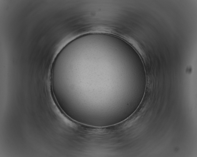 X0000089951387200707131506