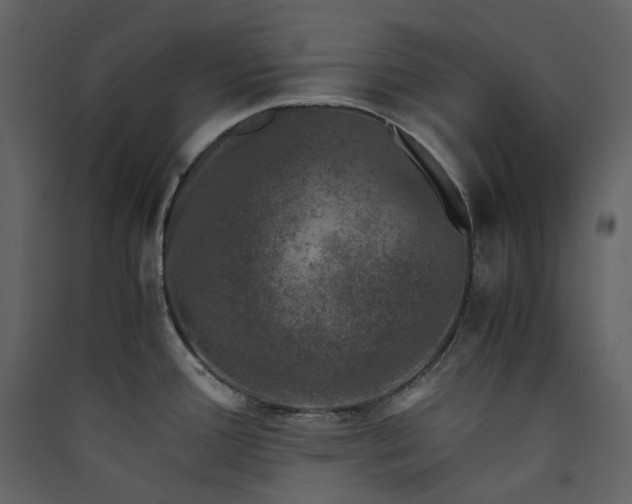 X0000089951388200707131506