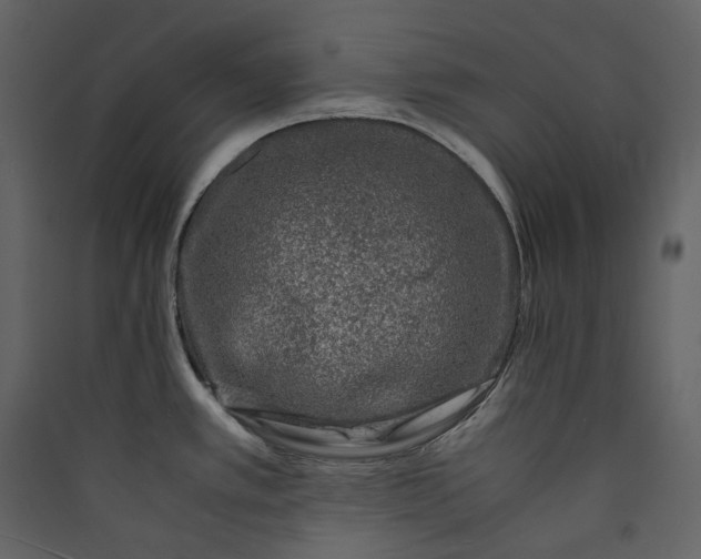 X0000089951389200707131506