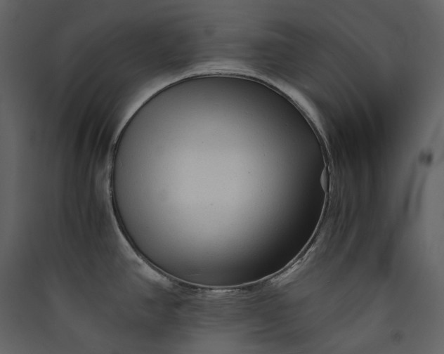 X0000089951390200707131506