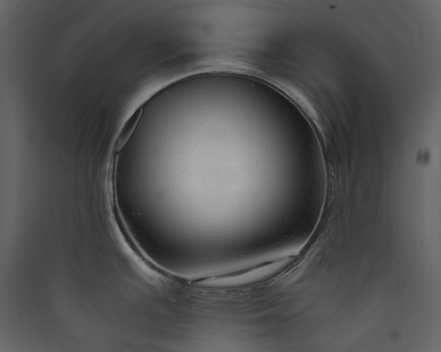 X0000089951391200707131506