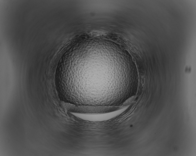 X0000089951393200707131506