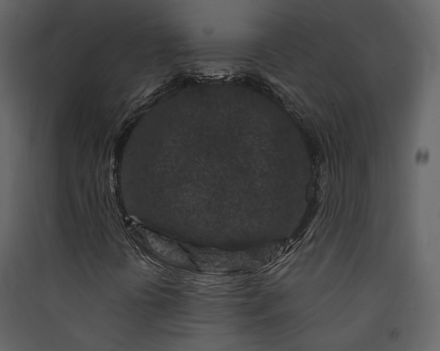 X0000089951394200707131506