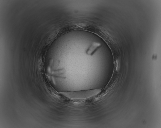 X0000089951395200707131506