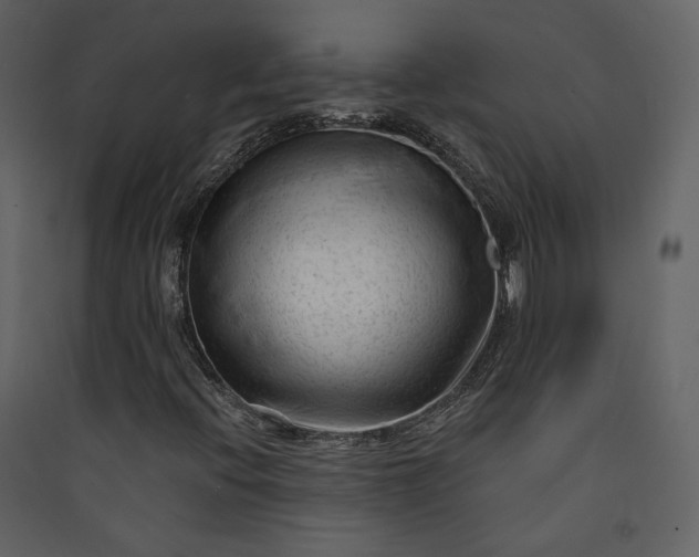X0000089951396200707131506