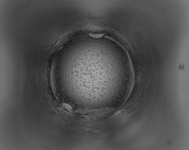 X0000089951397200707131506