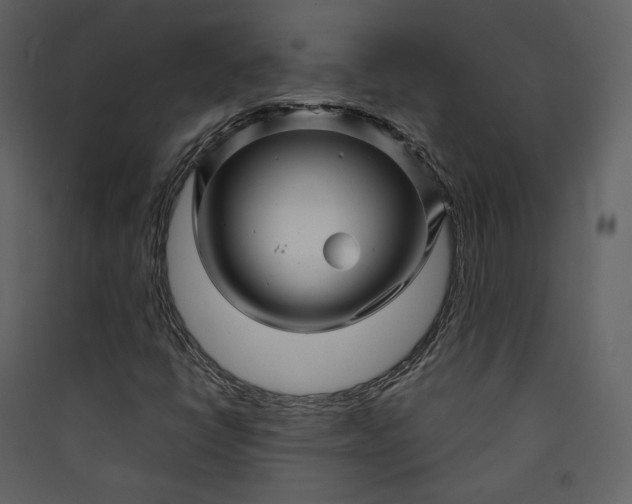 X0000089951398200707131506