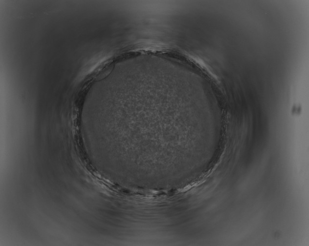 X0000089951399200707131506