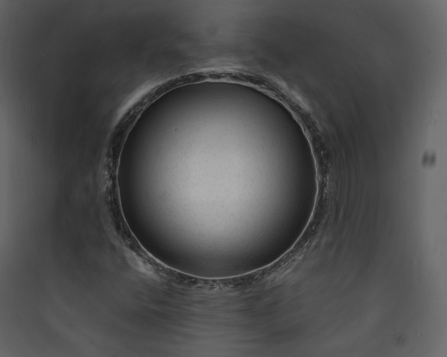 X0000089951400200707131506