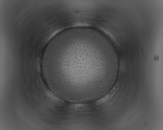 X0000089951401200707131506