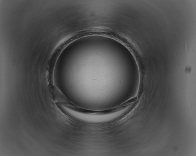 X0000089951402200707131506