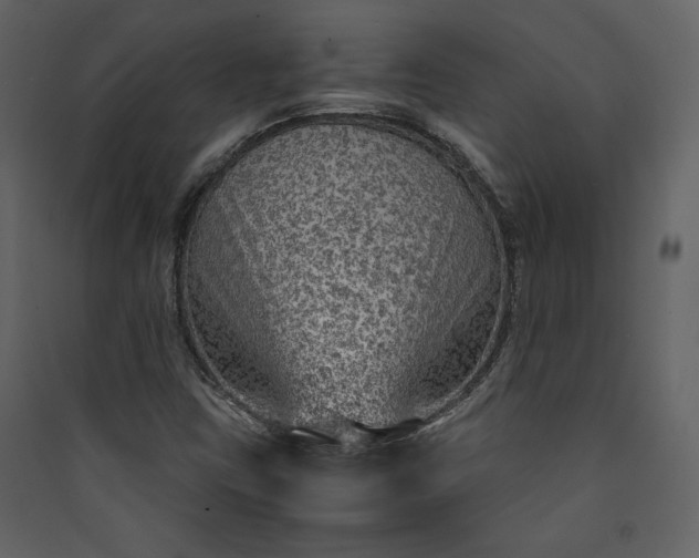 X0000089951403200707131506