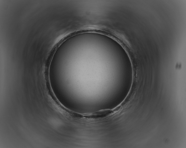 X0000089951404200707131506