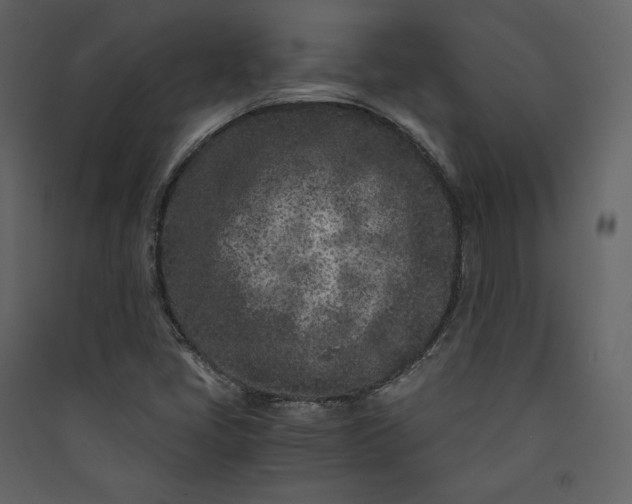 X0000089951405200707131506