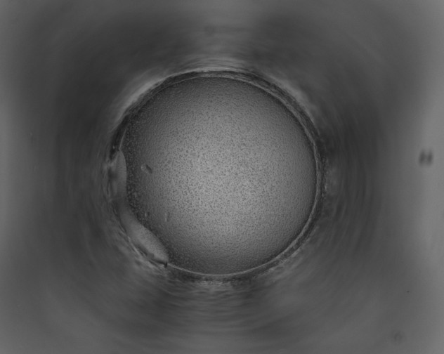 X0000089951407200707131506