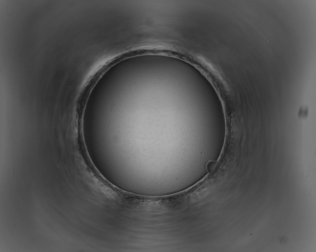 X0000089951408200707131506