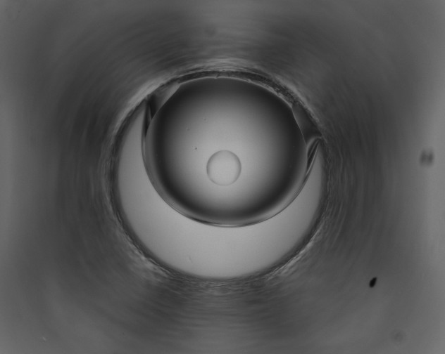 X0000089951410200707131506