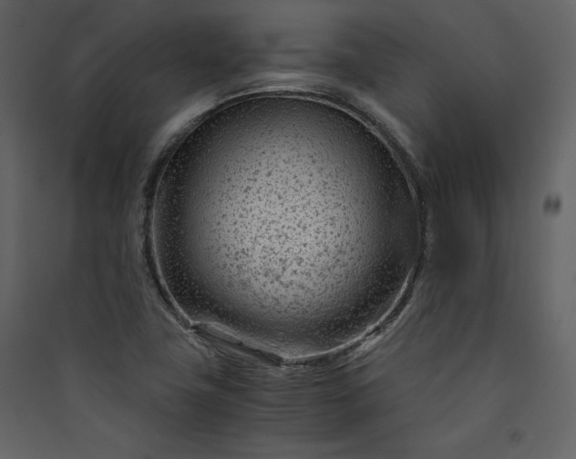 X0000089951411200707131506