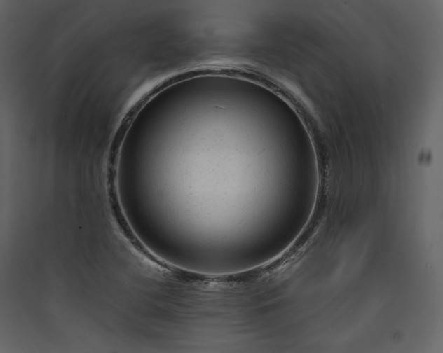X0000089951412200707131506