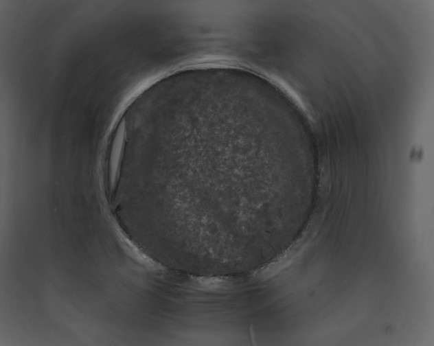 X0000089951413200707131506