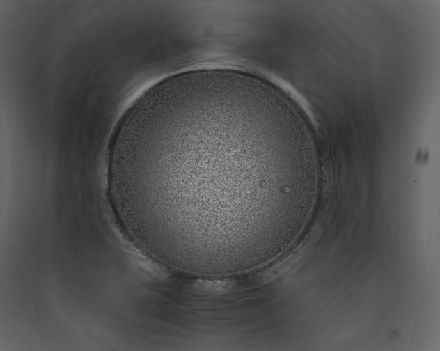 X0000089951415200707131506