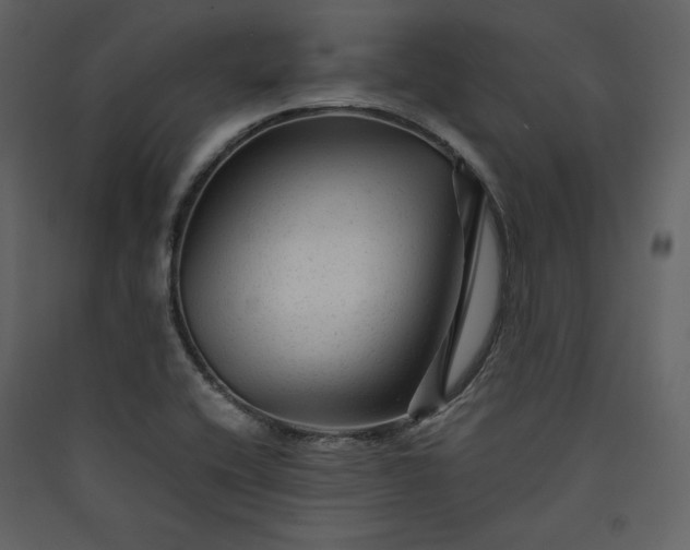 X0000089951416200707131506