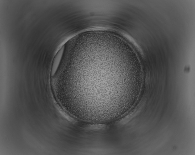 X0000089951417200707131506