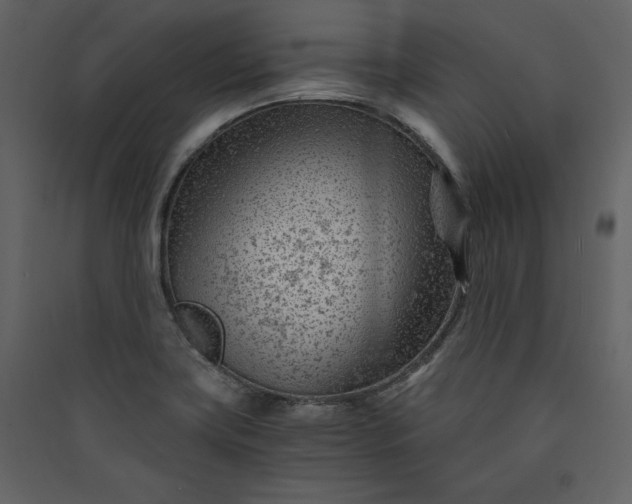 X0000089951419200707131506