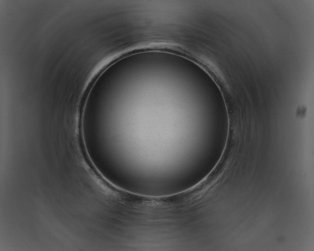 X0000089951420200707131506