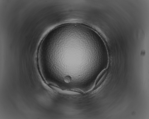 X0000089951421200707131506