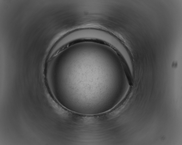 X0000089951422200707131506