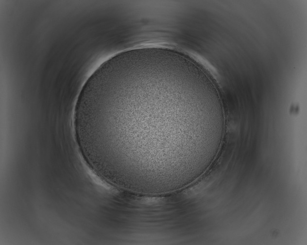 X0000089951423200707131506