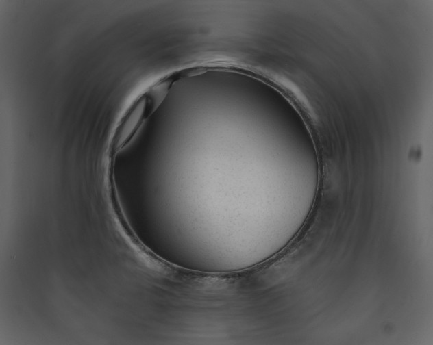 X0000089951424200707131506