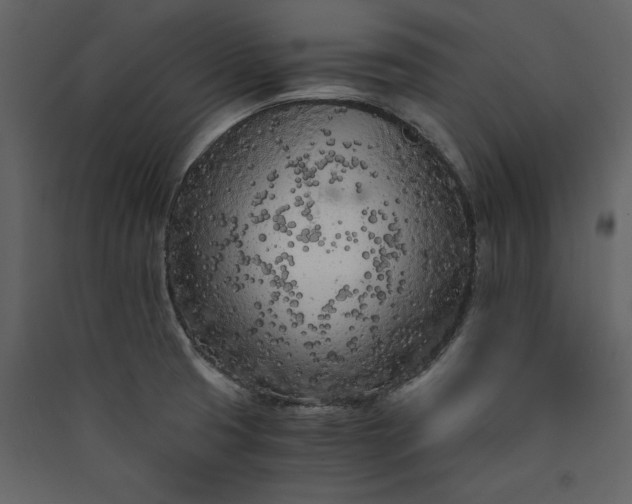 X0000089951425200707131506