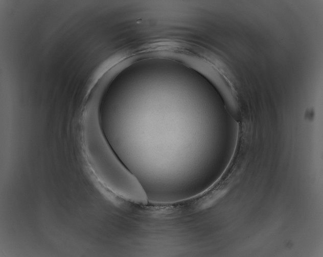 X0000089951426200707131506