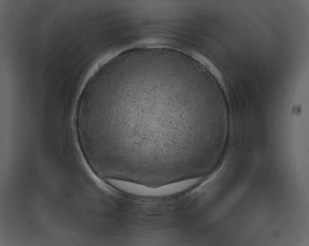 X0000089951429200707131506