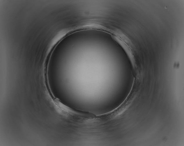 X0000089951430200707131506