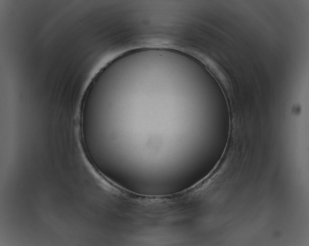 X0000089951432200707131506