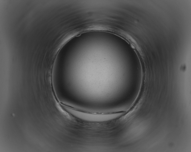 X0000089951433200707131506