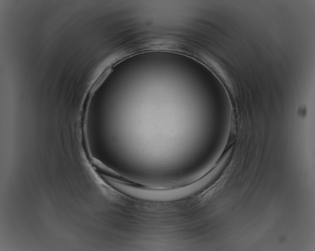 X0000089951434200707131506