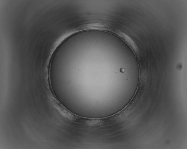X0000089951435200707131506