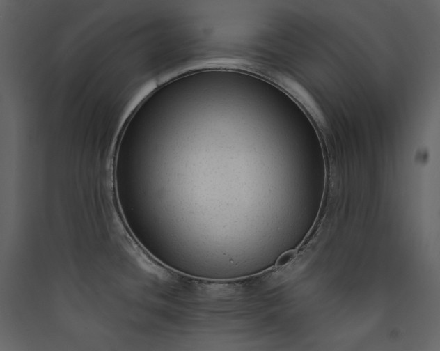 X0000089951436200707131506