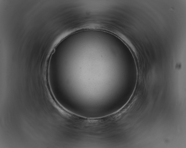 X0000089951437200707131506